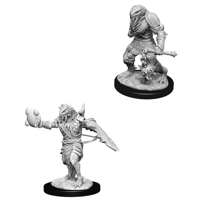 Hovedbilde Dragonborn Male Paladin D&D Nolzurs Marvelous ...