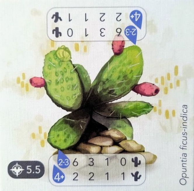 Hovedbilde Petrichor Cactus Promo Tile